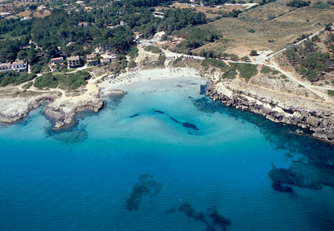 Villa in Mal Pas - Bon Aire - Villa Camila