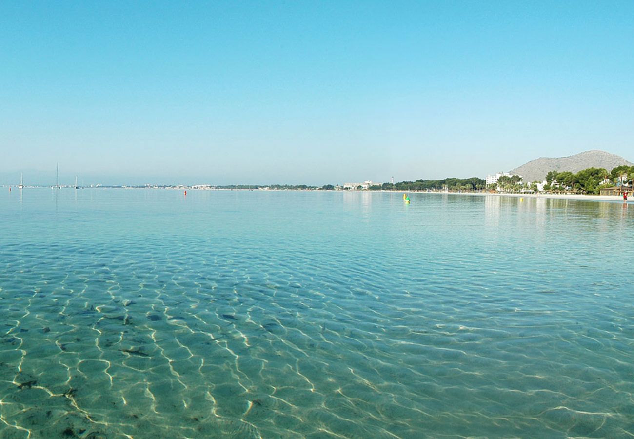 Ferienwohnung in Port d´Alcudia - Apartament Blue View