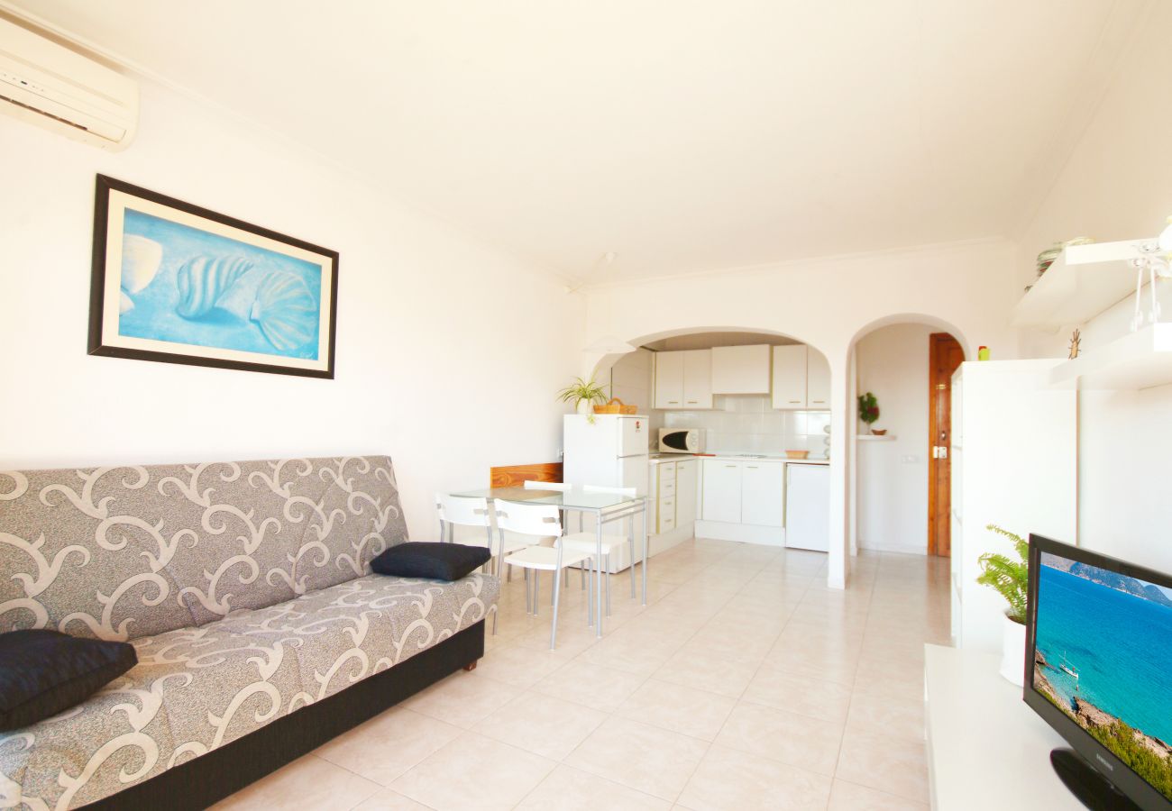 Ferienwohnung in Alcudia - Apartamento Arcoiris