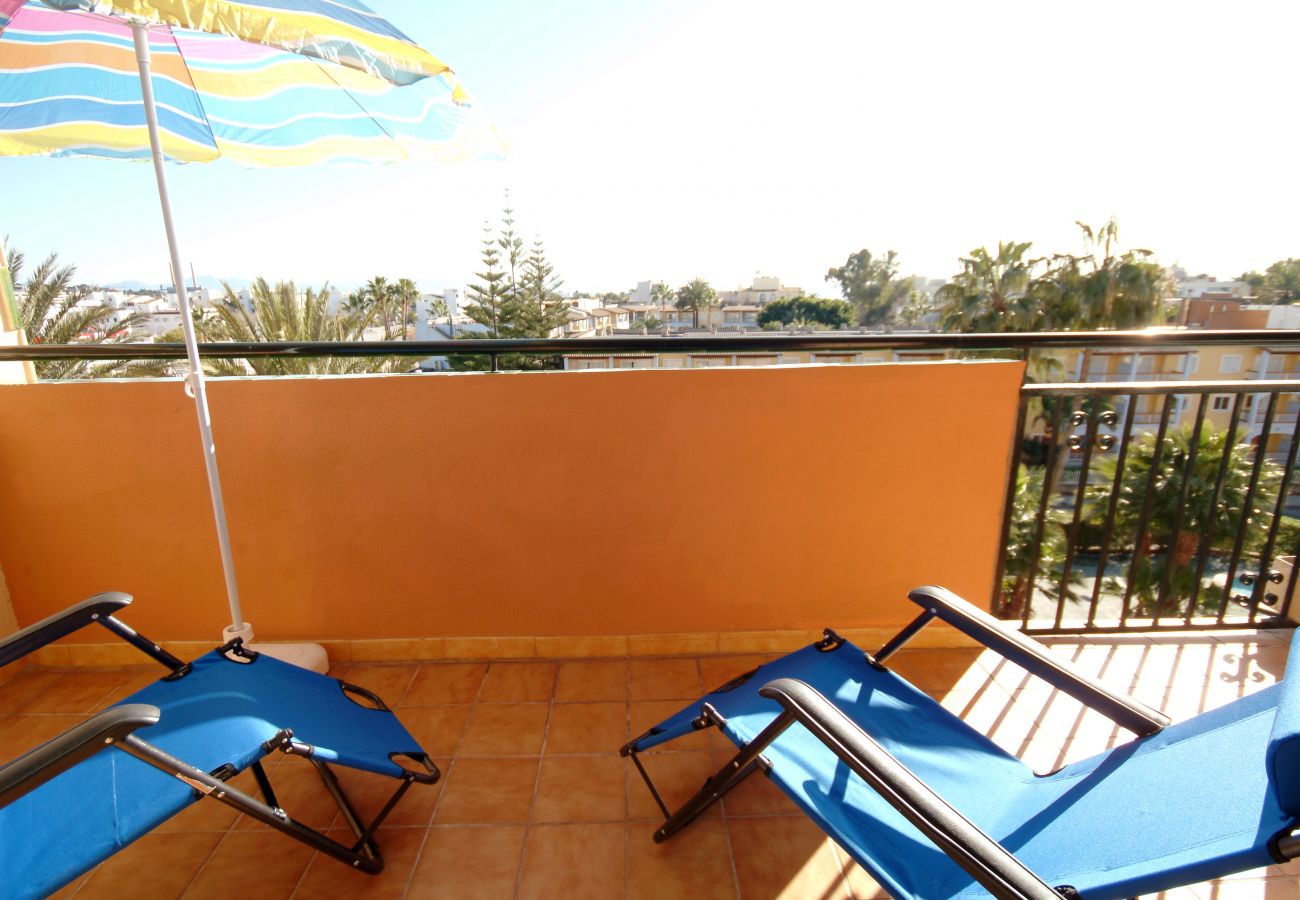 Ferienwohnung in Alcudia - Apartamento Arcoiris