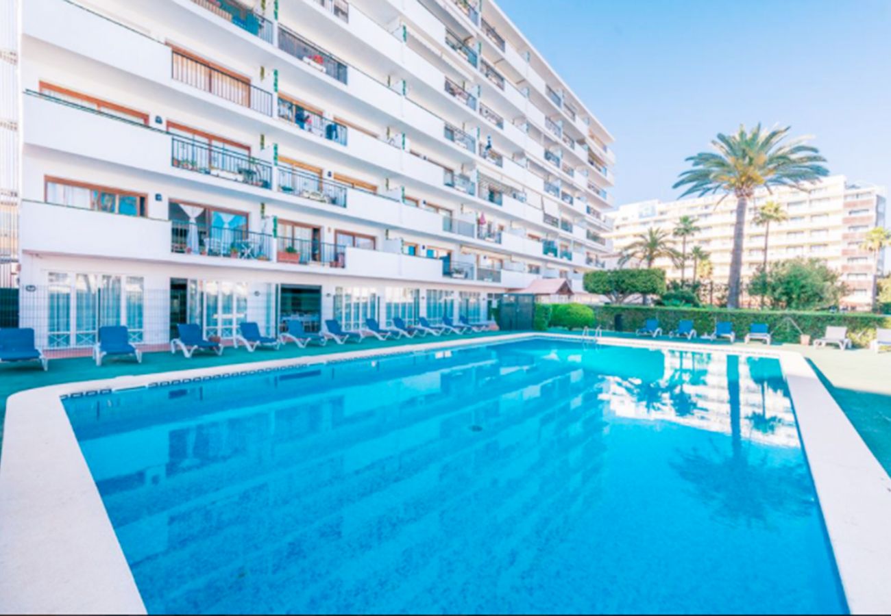 Ferienwohnung in Alcudia - Apartamento Arcoiris