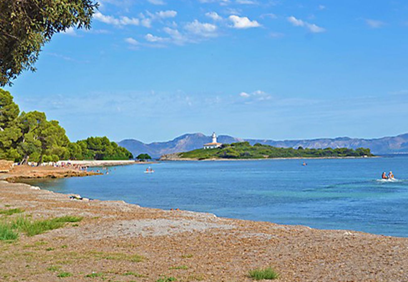 Ferienwohnung in Alcudia - Apartamento Vida Sana