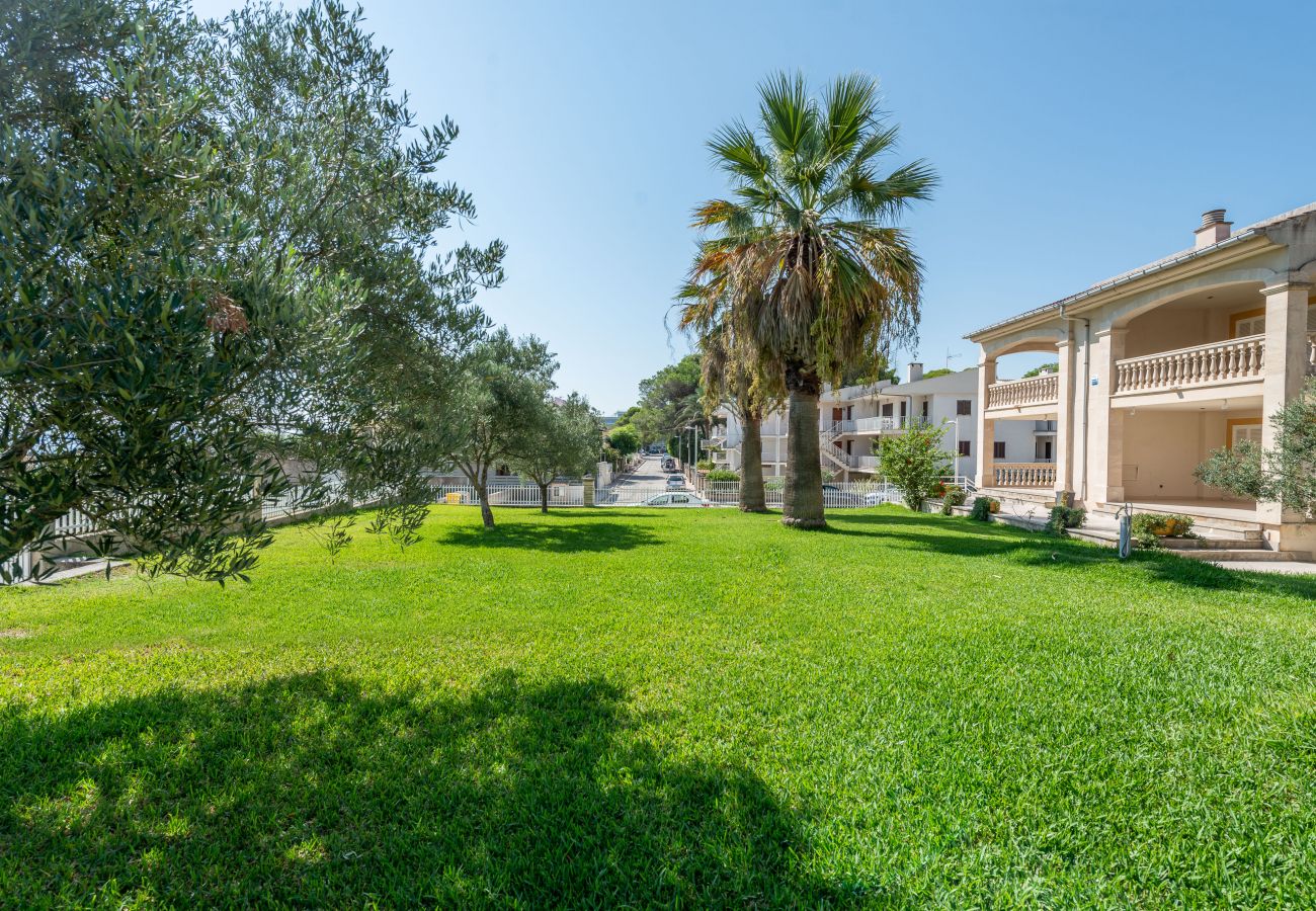 Ferienwohnung in Alcudia - Apartamento Countess Garden C