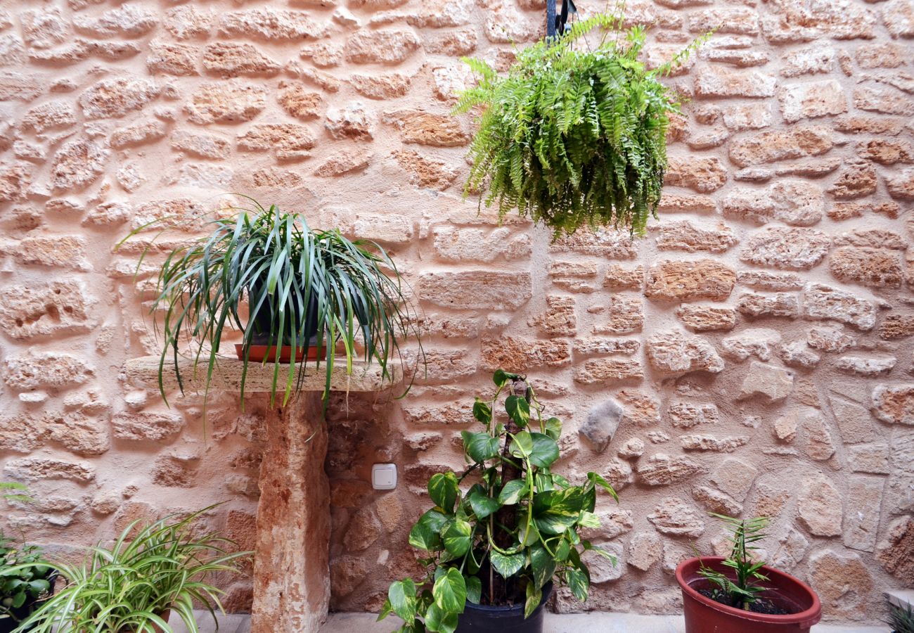 Ferienhaus in Alcudia - Casa Ca Na Polida