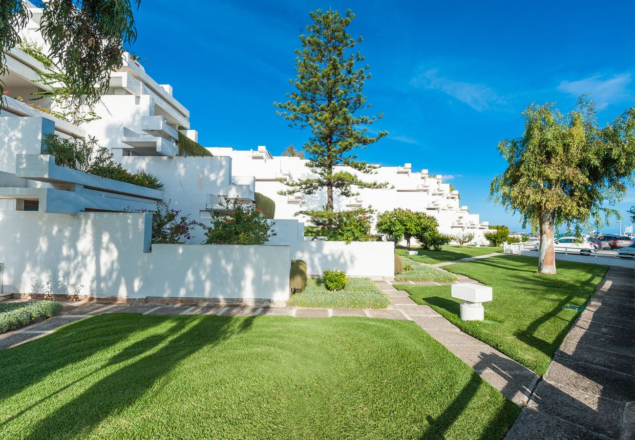 Ferienwohnung in Alcudia - Oiza Garden 113