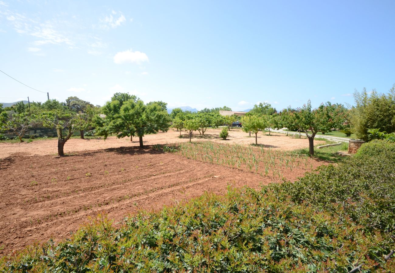 Villa in Alcudia - Finca Can Pau