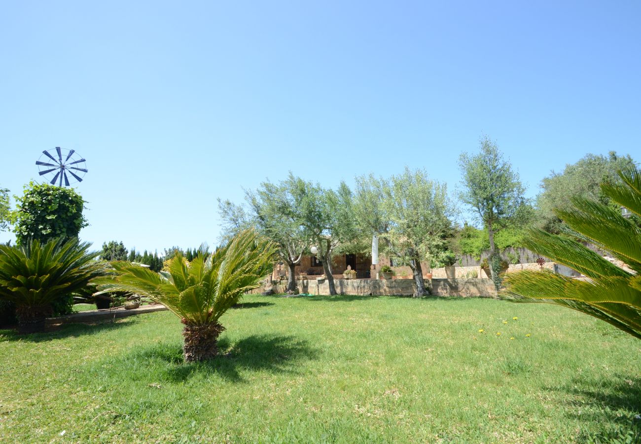 Villa in Alcudia - Finca Can Pau