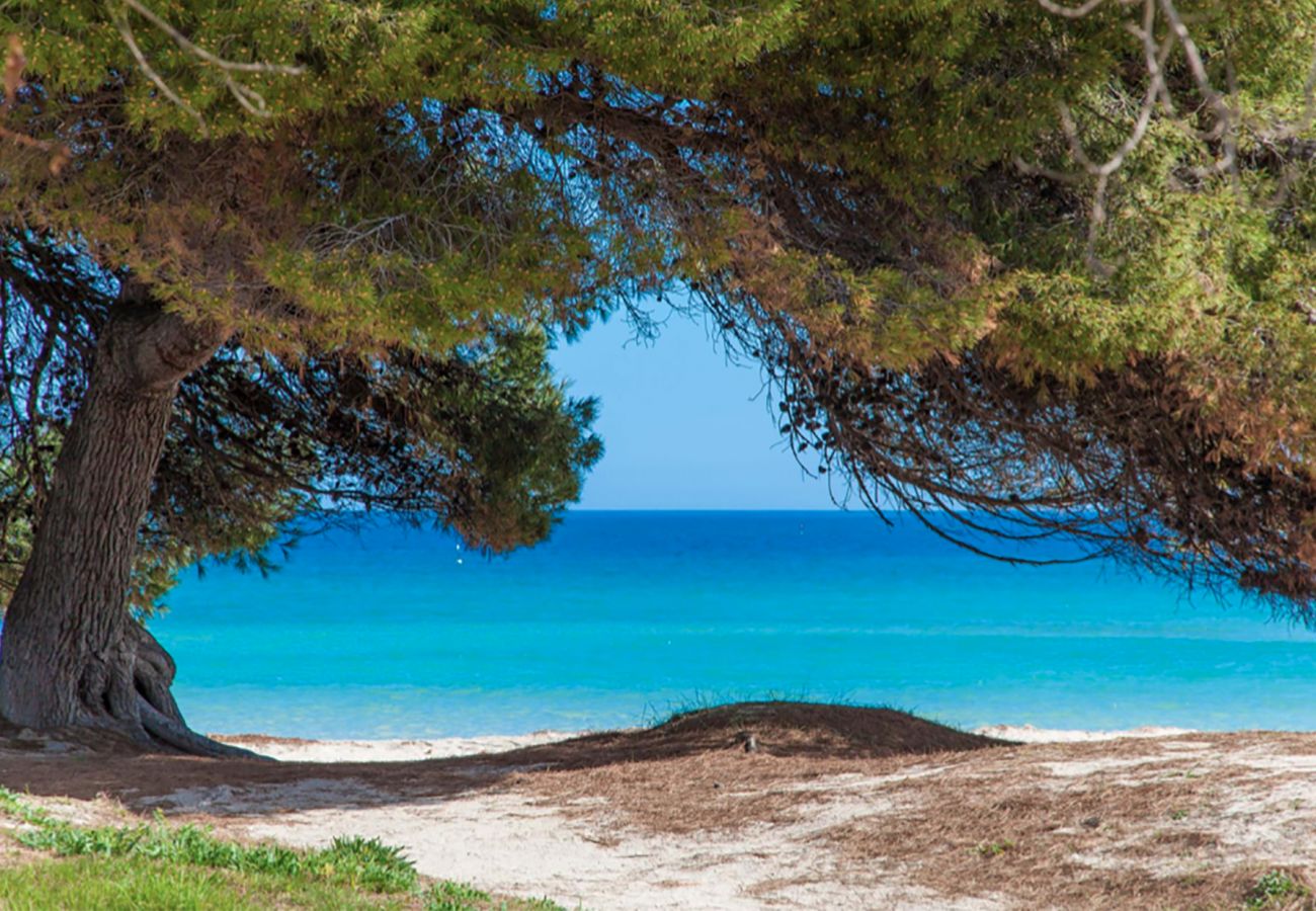 Villa in Playa de Muro - Casa Natura Park House