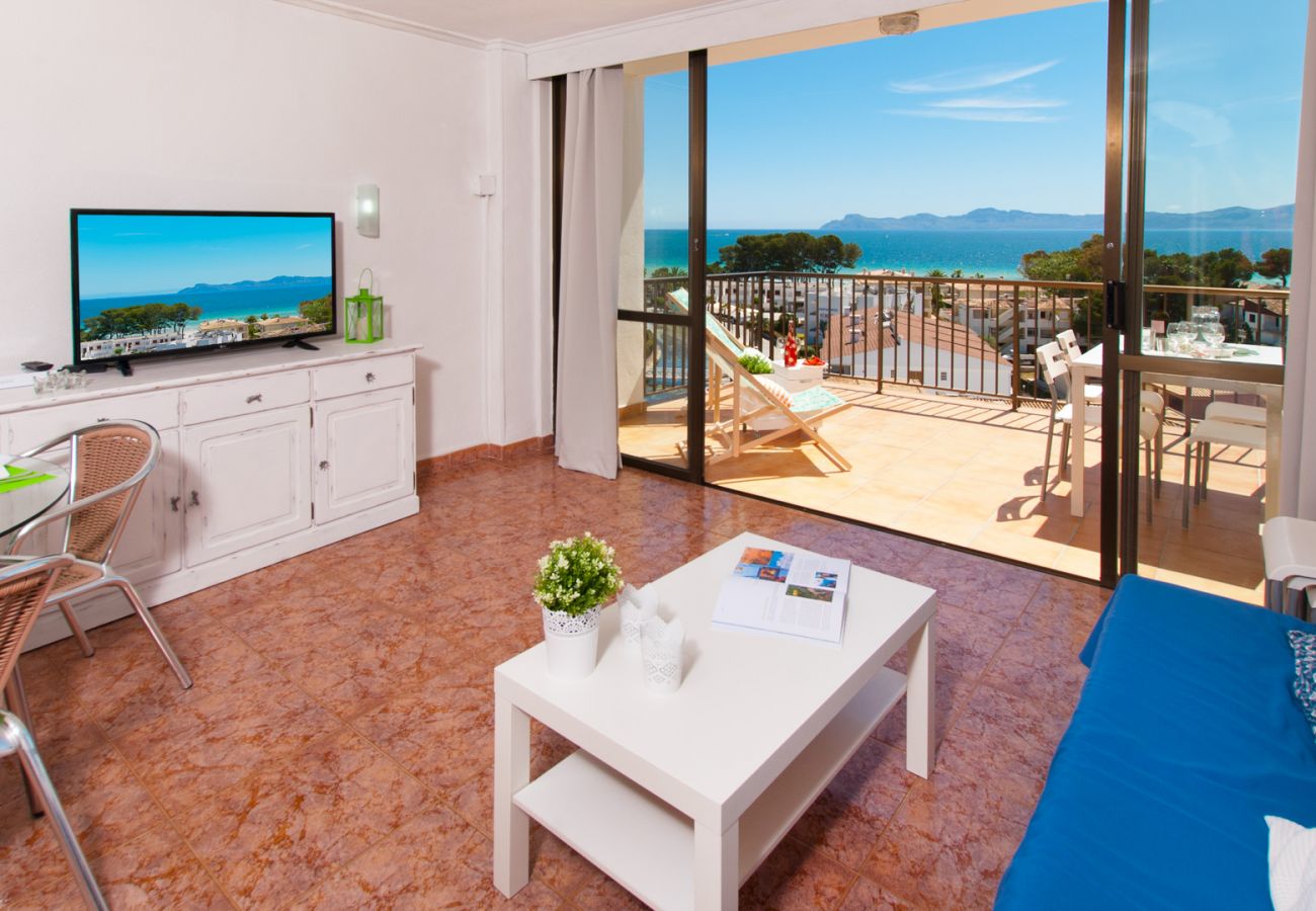 Ferienwohnung in Alcudia - Apartamento The Shell 2