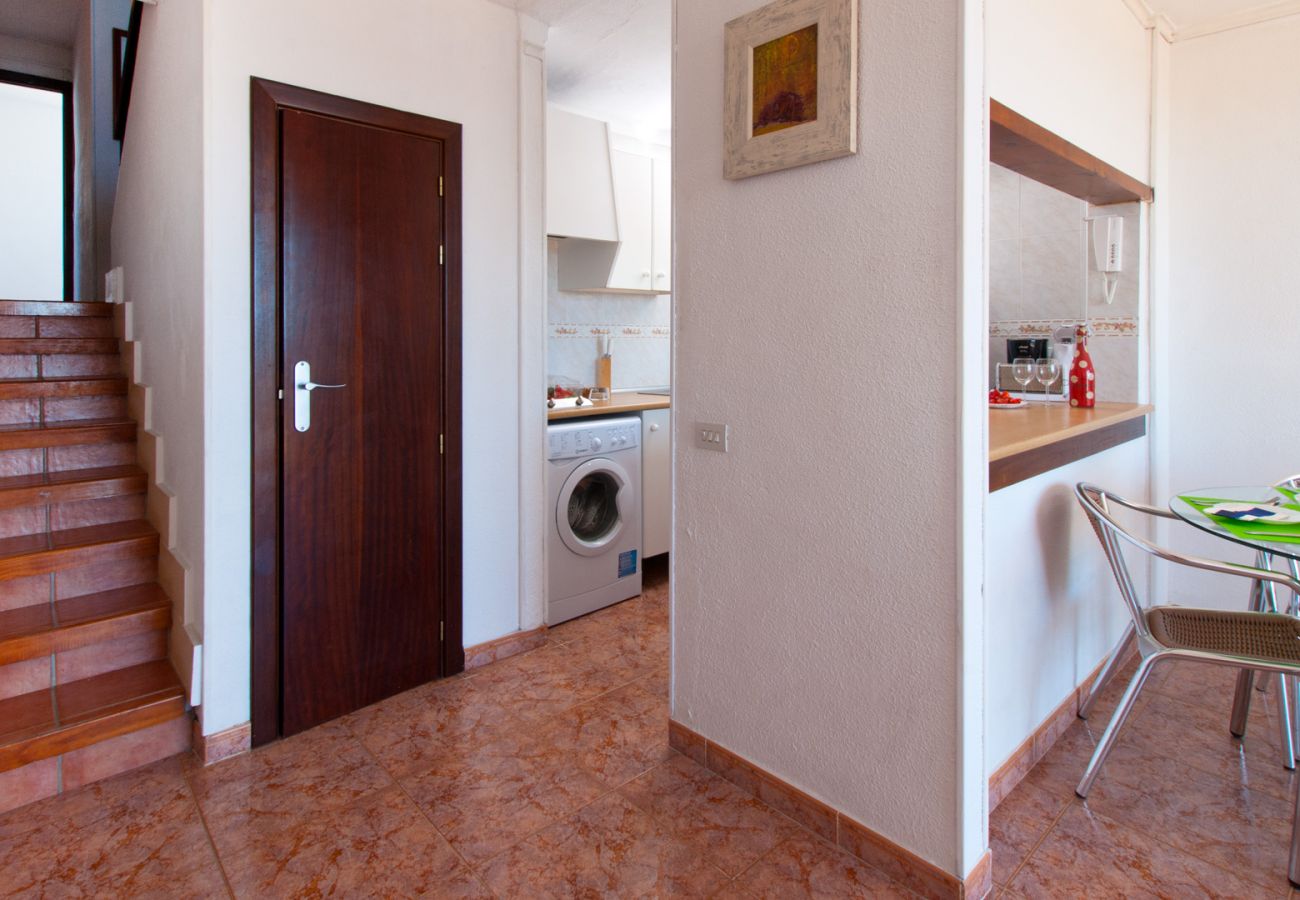 Ferienwohnung in Alcudia - Apartamento The Shell 2