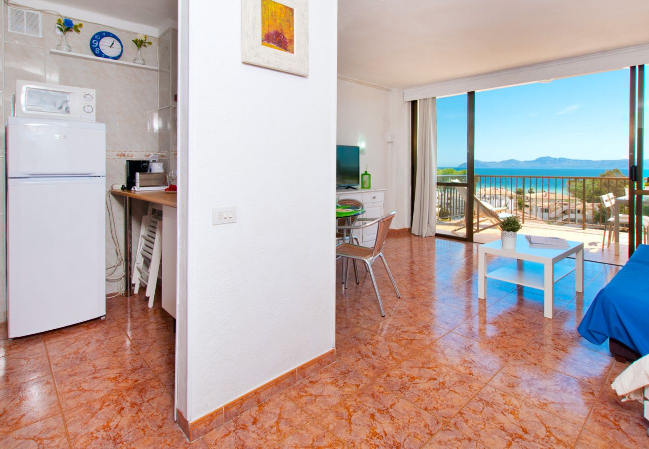 Ferienwohnung in Alcudia - Apartamento The Shell 2