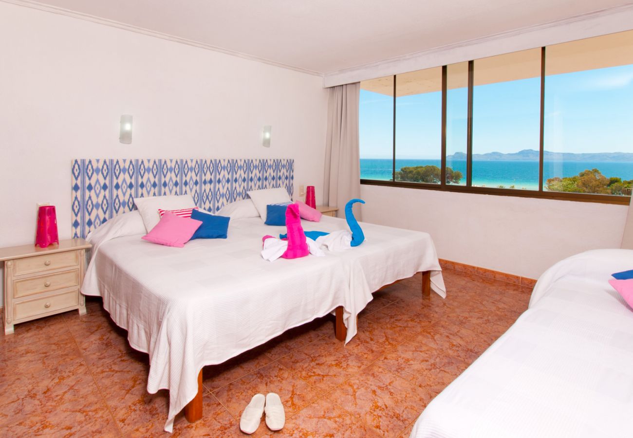 Ferienwohnung in Alcudia - Apartamento The Shell 2