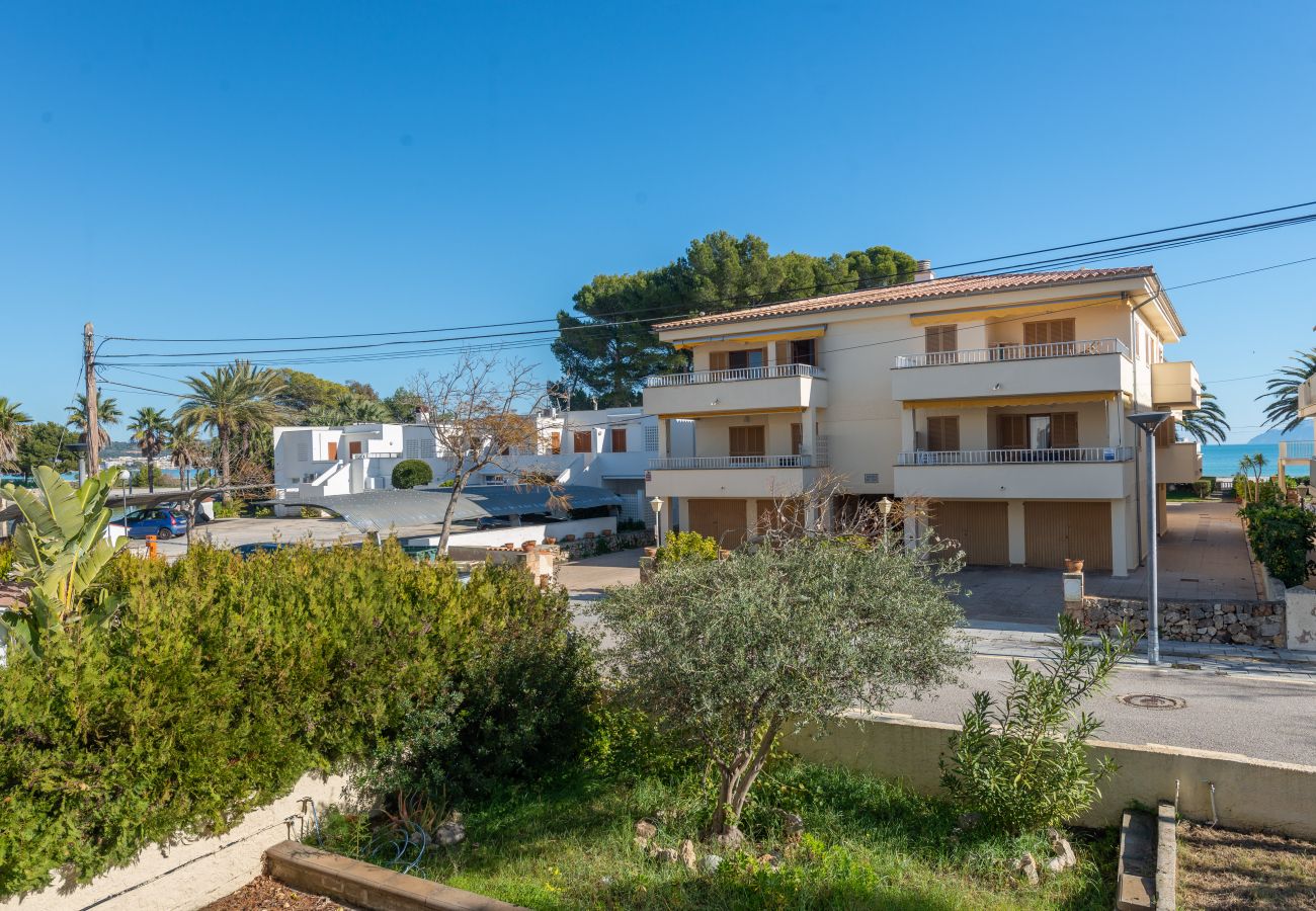 Ferienwohnung in Alcudia - Apartamento Concha