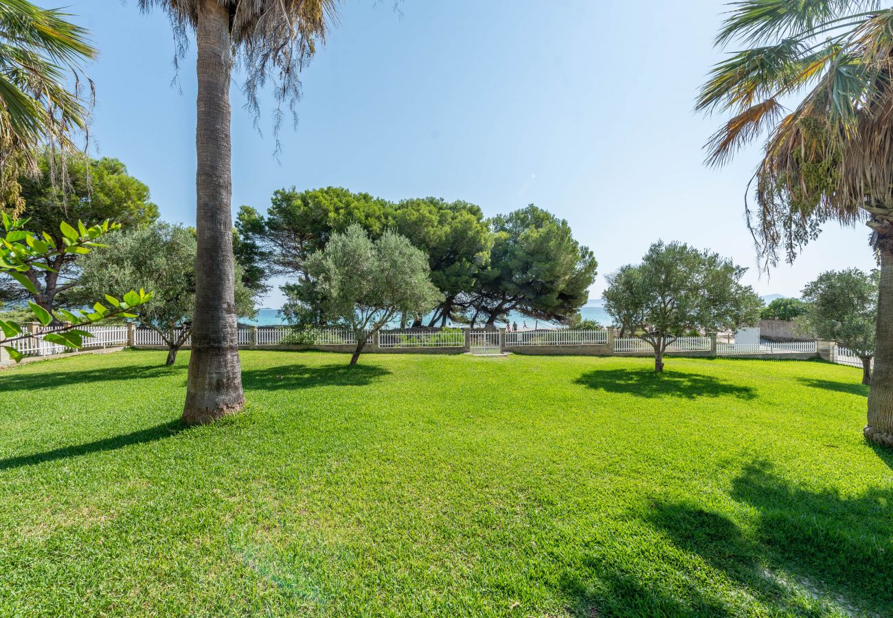 Ferienwohnung in Alcudia - Apartamento Countess Garden F