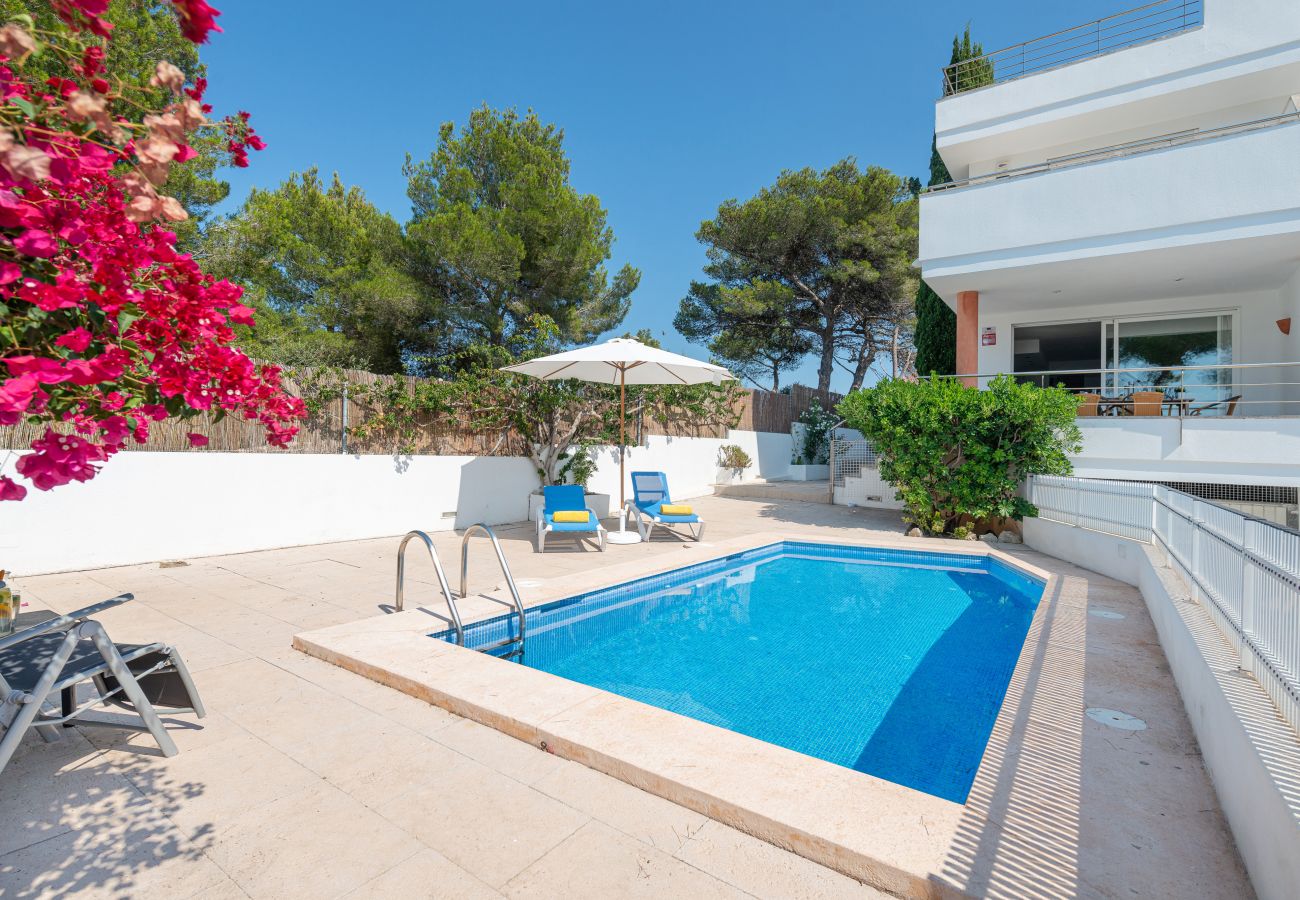 Villa in Alcudia - VillaVioleta