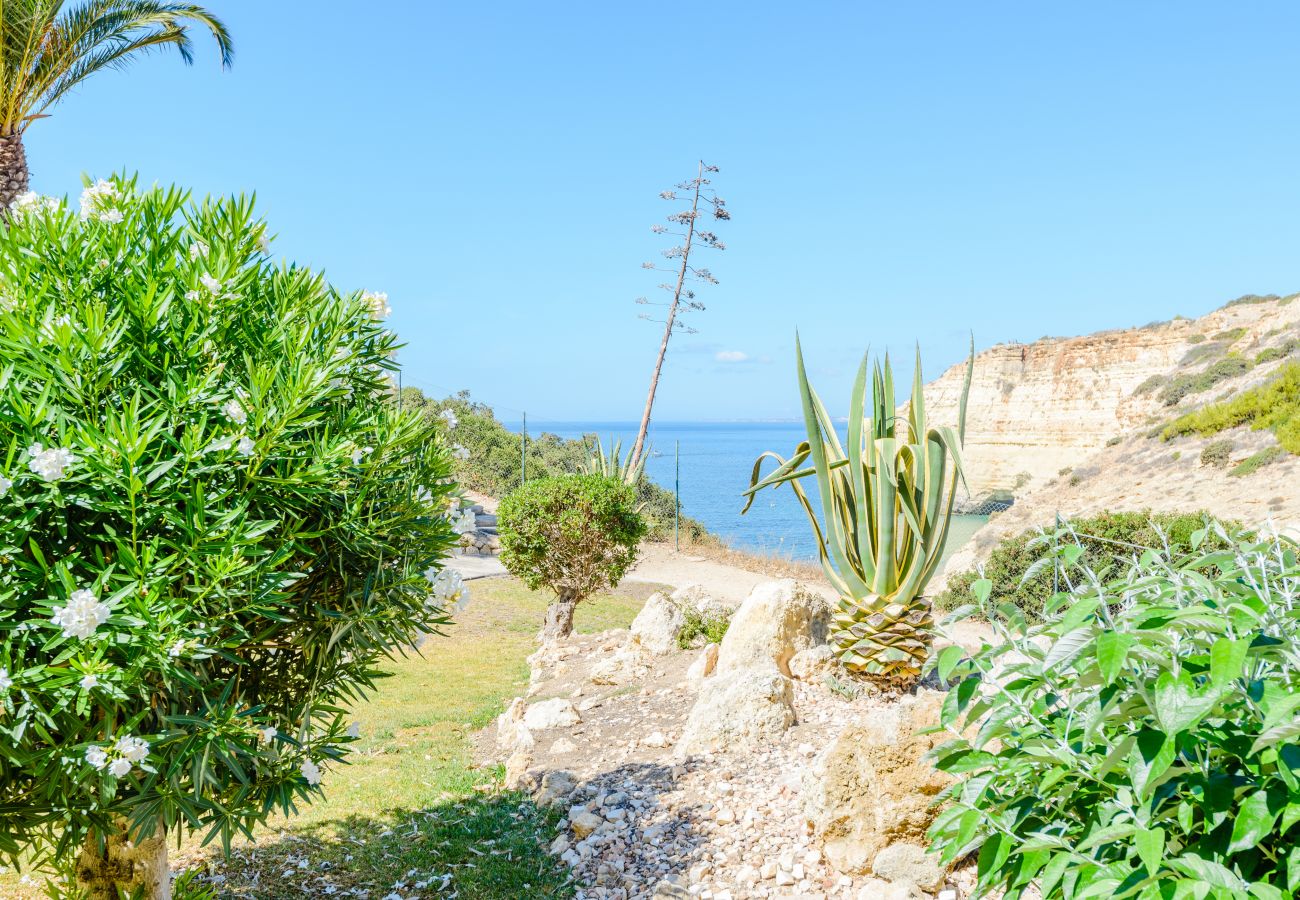 Ferienwohnung in Carvoeiro - The Little Paradise