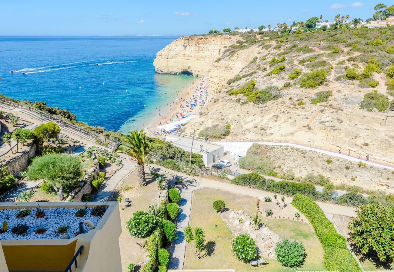 Ferienwohnung in Carvoeiro - The Little Paradise