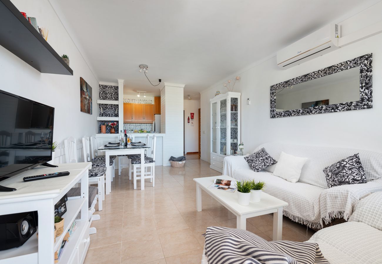 Ferienwohnung in Alcudia - Apartamento Sol