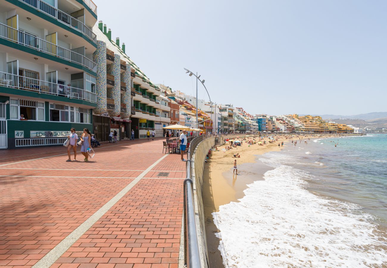 Studio in Las Palmas de Gran Canaria - Seaweed Beach Home By Canariasgetaway 