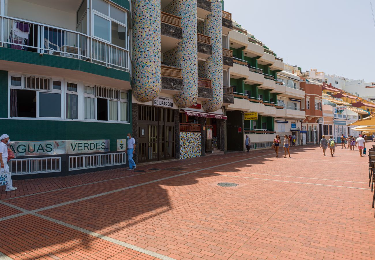 Studio in Las Palmas de Gran Canaria - Seaweed Beach Home By Canariasgetaway 