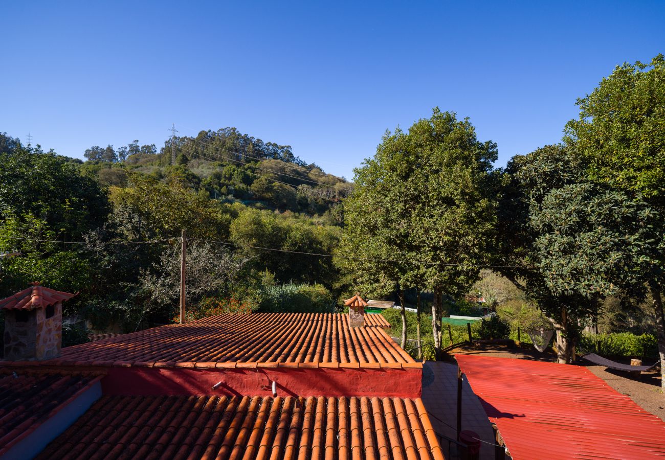 Landhaus in Valleseco - Sombra del Laurel