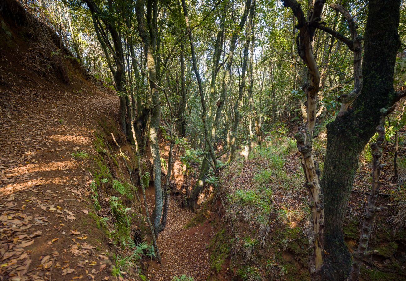 Landhaus in Valleseco - Sombra del Laurel