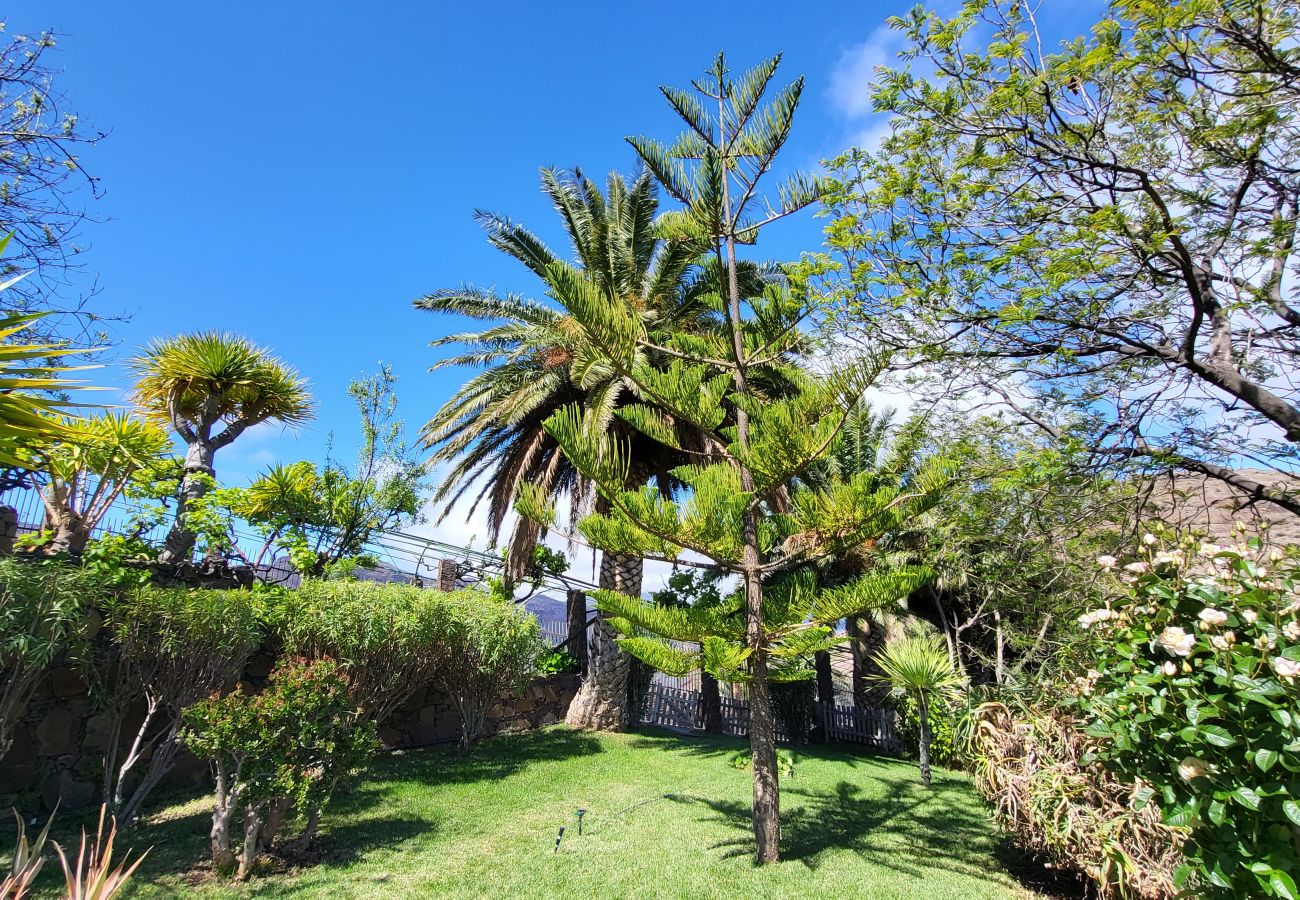 Chalet in Tejeda - ROQUE BENTAYGA TEJEDA