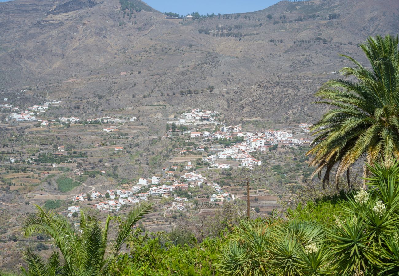 Chalet in Tejeda - ROQUE BENTAYGA TEJEDA