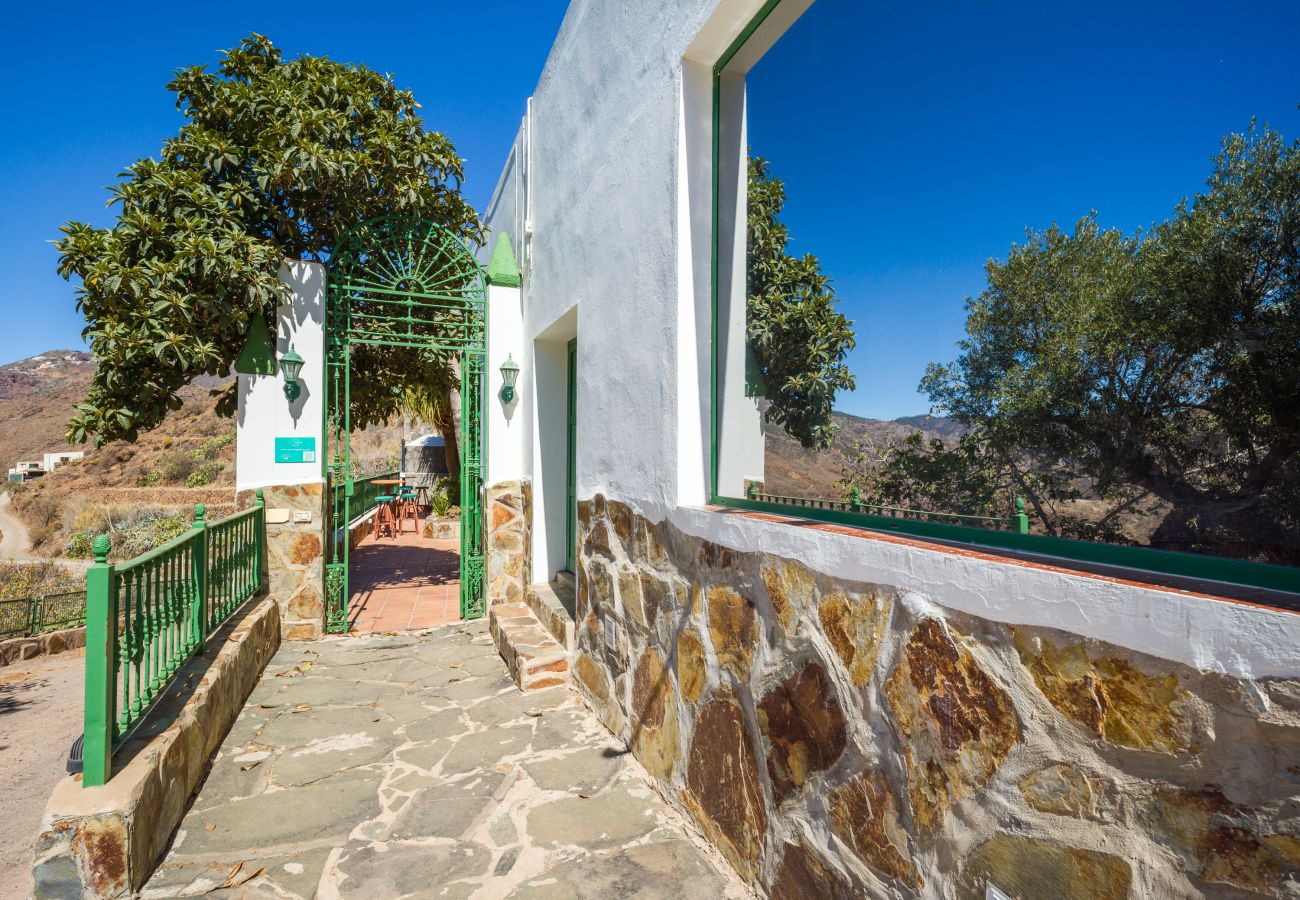 Ferienhaus in Tejeda - Rural La  Montaña Guia