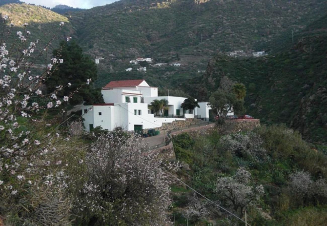 Ferienhaus in Tejeda - Rural La  Montaña Nulbo