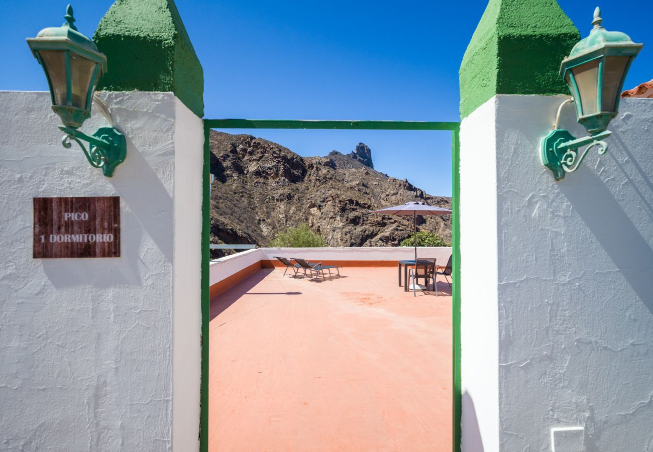 Ferienhaus in Tejeda - Rural La  Montaña Pico