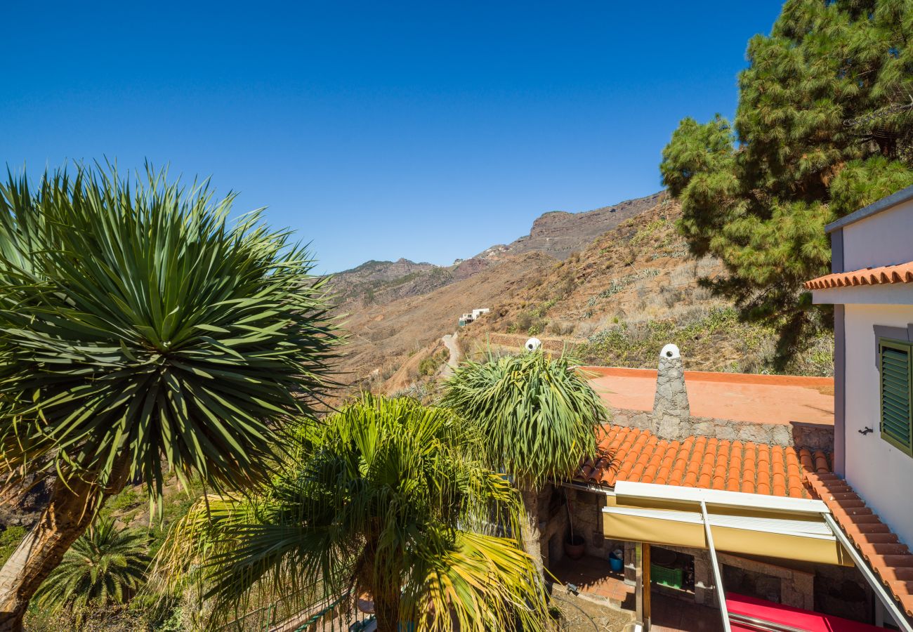 Ferienhaus in Tejeda - Rural La  Montaña Pico