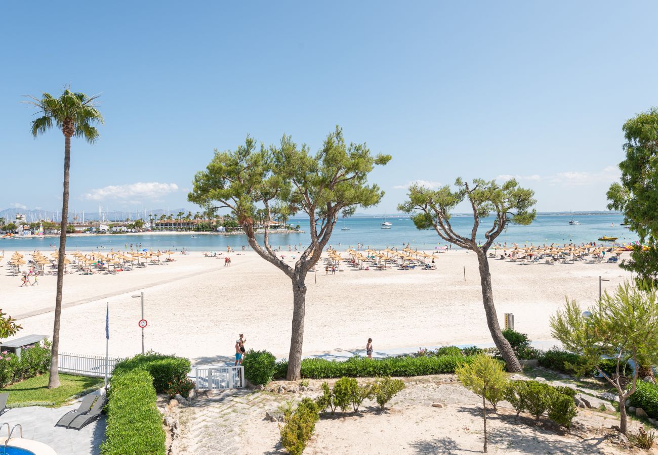 Apartamento en Port d´Alcudia - Apartamento Blue View