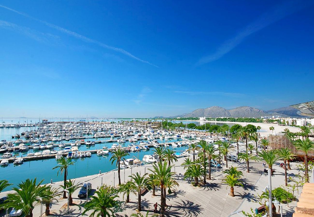 Apartamento en Port d´Alcudia - Apartamento Portobello