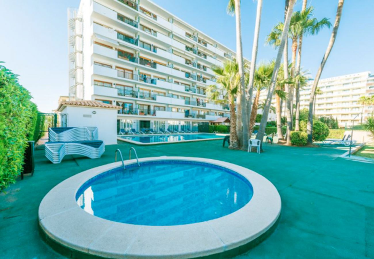 Apartamento en Alcúdia - Apartamento Arcoiris