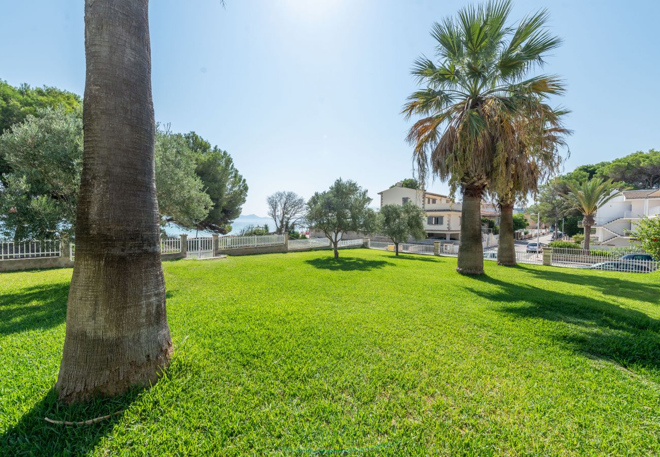 Apartamento en Alcúdia - Apartamento Countess Attic C