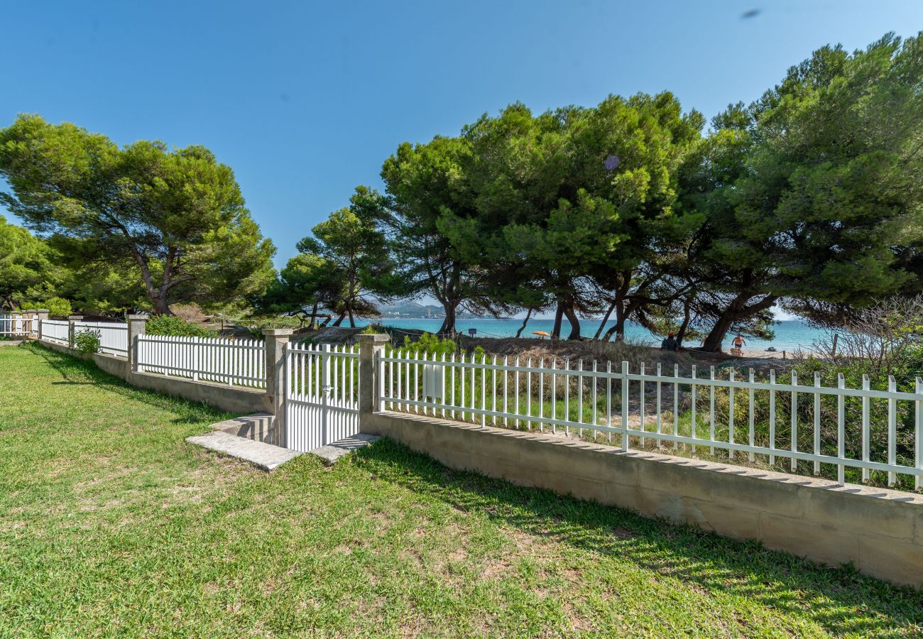 Apartamento en Alcúdia - Apartamento Countess Attic C