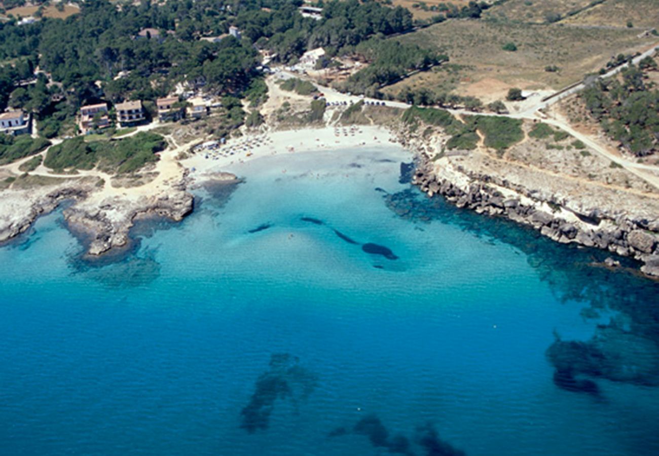 Villa en Alcúdia - Villa Teix de Bonaire