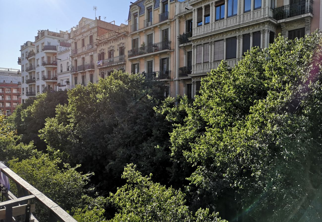 Apartamento en Barcelona - CALABRIA, piso amplio ideal familias o grupos en Eixample, Barcelona centro