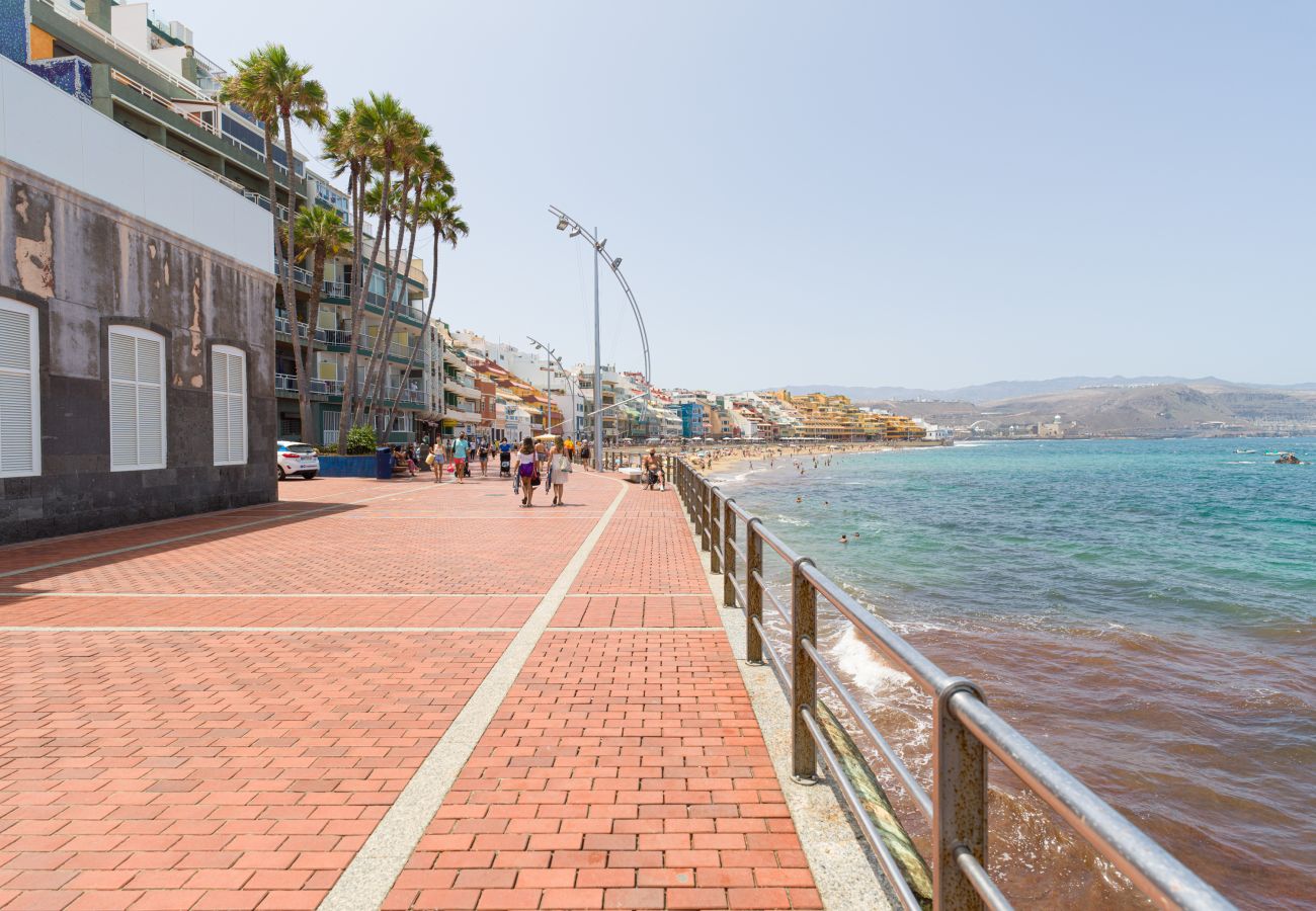 Estudio en Las Palmas de Gran Canaria - Aquarium Las Canteras By CanariasGetaway 