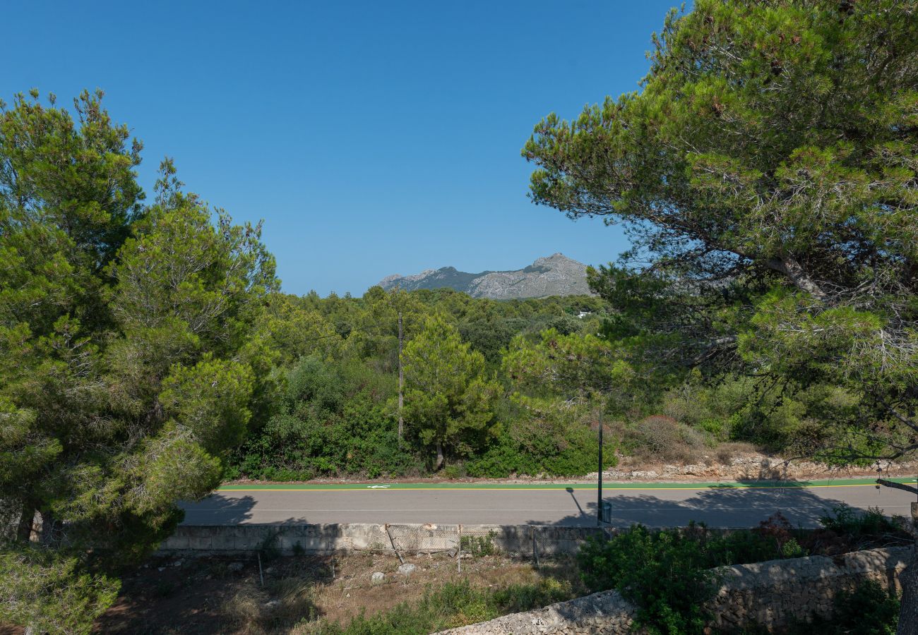 Villa en Alcúdia - VillaVioleta