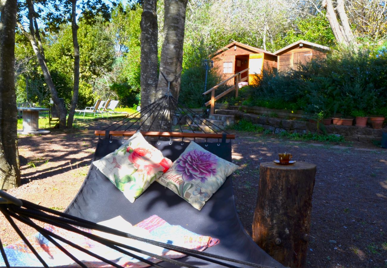 Casa rural en Valleseco - Sombra del Laurel