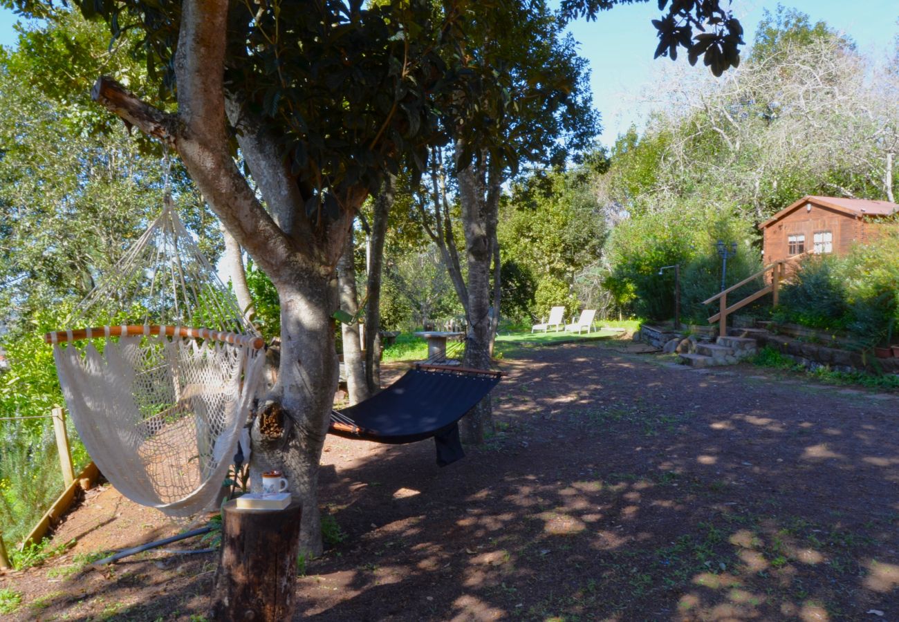 Casa rural en Valleseco - Sombra del Laurel