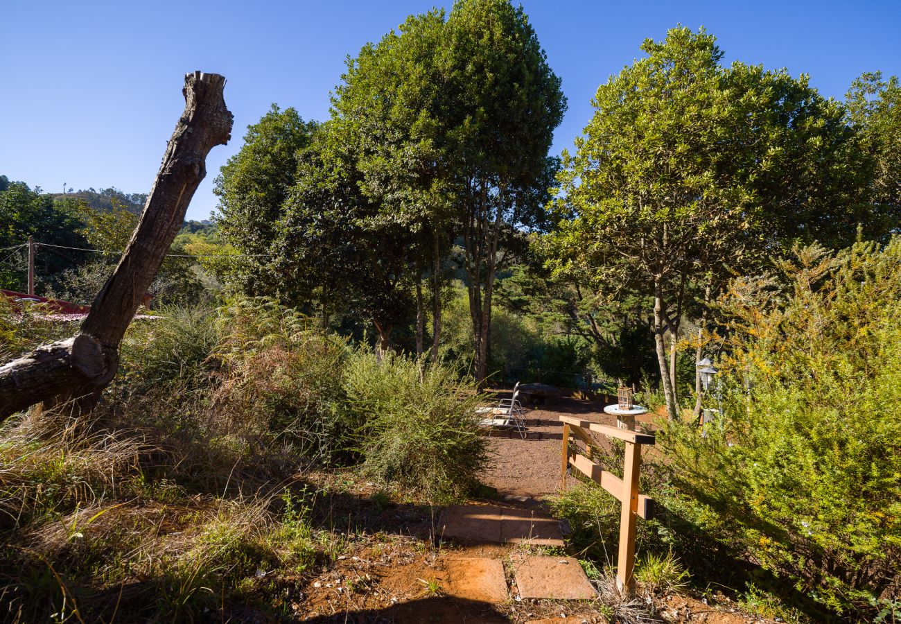 Casa rural en Valleseco - Sombra del Laurel