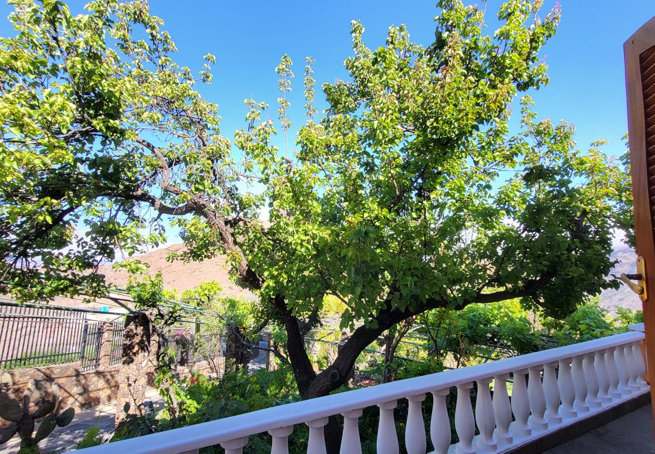 Chalet en Tejeda - ROQUE BENTAYGA TEJEDA