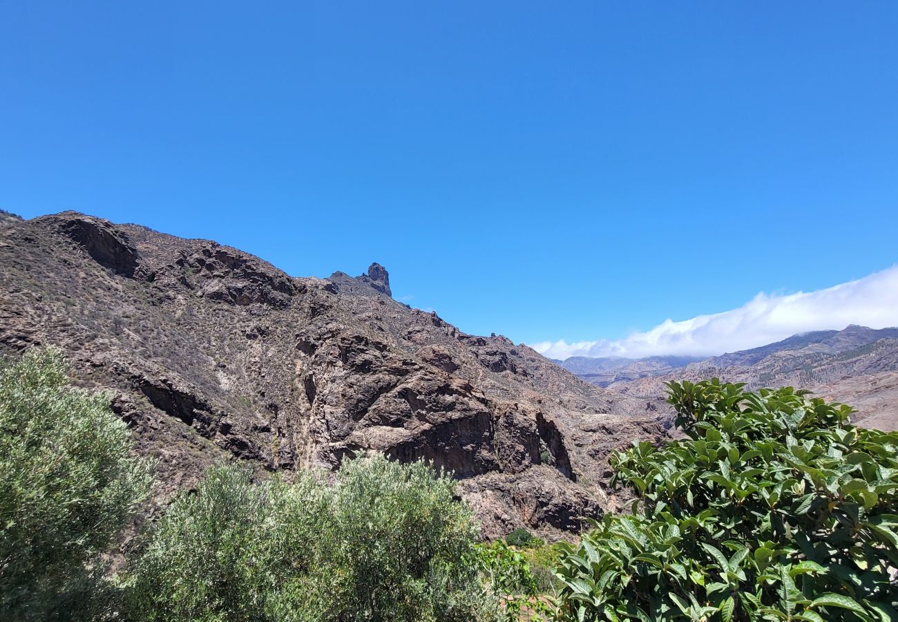 Casa en Tejeda - Rural La  Montaña Guia