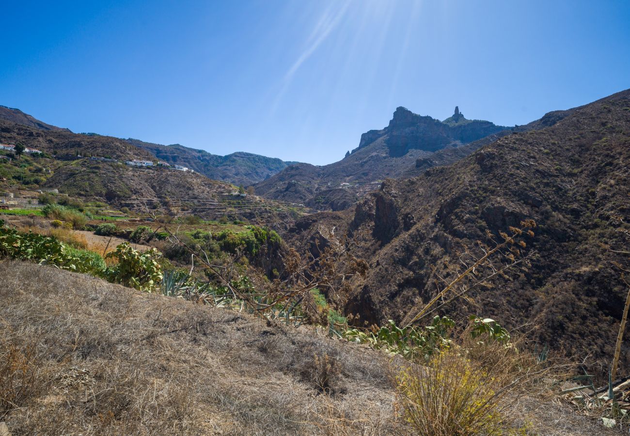 Casa en Tejeda - Rural La Montaña Galdar