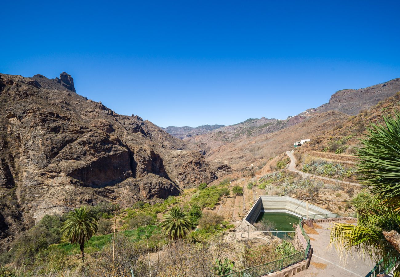 Casa en Tejeda - Rural La  Montaña Pico