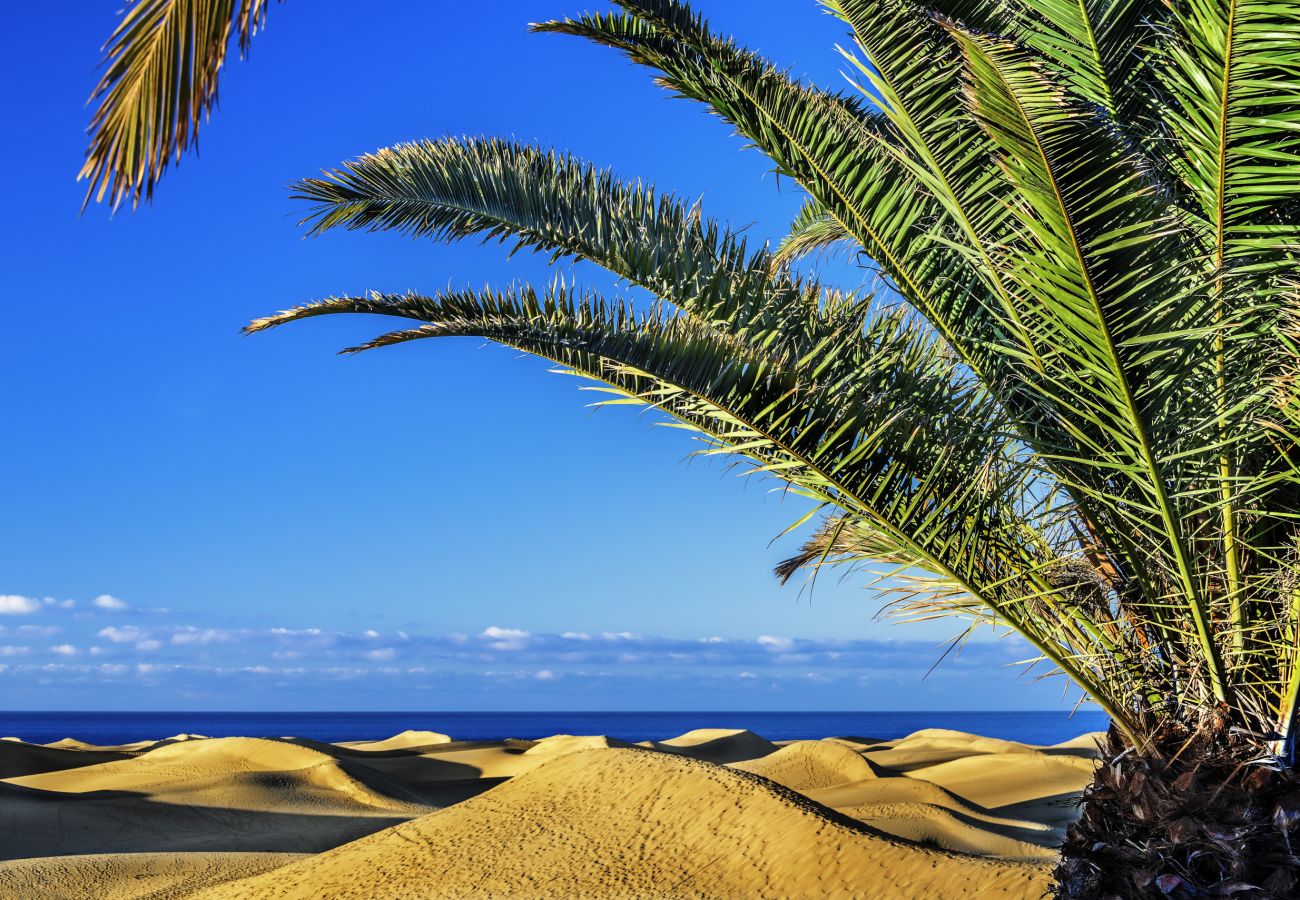 Casa en San Bartolomé de Tirajana - Beach View Apartment I 