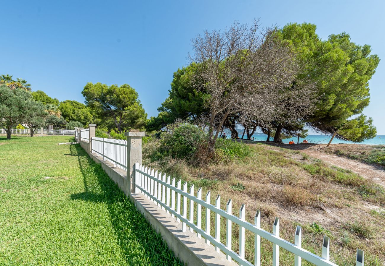 Appartement à Alcudia - Apartamento Countess Garden C